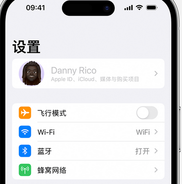 漳浦appleID维修服务iPhone设置中Apple ID显示为灰色无法使用