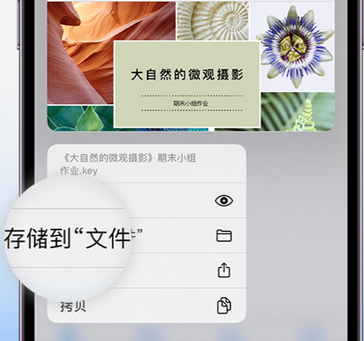 漳浦apple维修中心分享iPhone文件应用中存储和找到下载文件