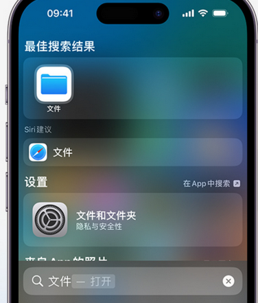 漳浦apple维修中心分享iPhone文件应用中存储和找到下载文件 