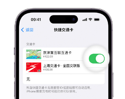 漳浦apple维修点分享iPhone上更换Apple Pay快捷交通卡手绘卡面 