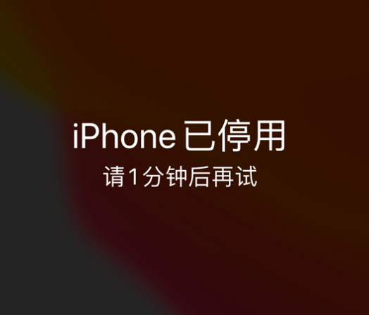 漳浦苹果手机维修分享:iPhone 显示“不可用”或“已停用”怎么办？还能保留数据吗？ 