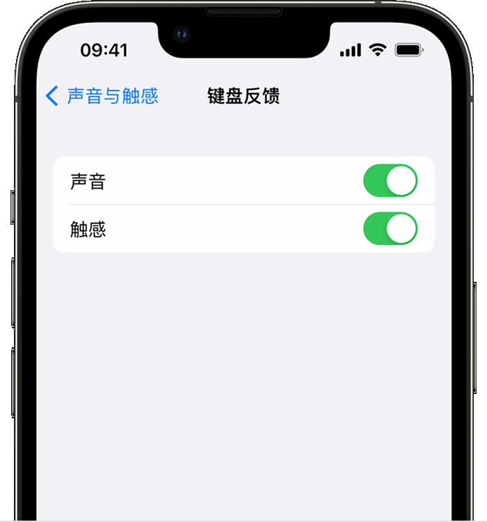 漳浦苹果14维修店分享如何在 iPhone 14 机型中使用触感键盘 