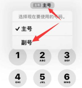 漳浦苹果14维修店分享iPhone 14 Pro Max使用副卡打电话的方法 