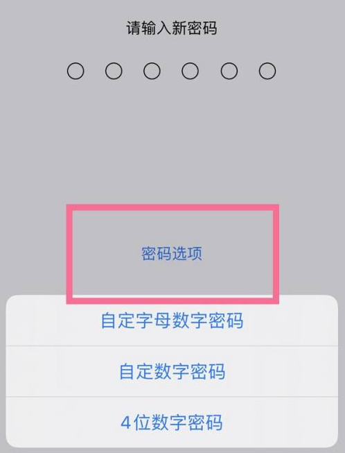 漳浦苹果14维修分享iPhone 14plus设置密码的方法 