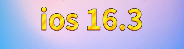 漳浦苹果服务网点分享苹果iOS16.3升级反馈汇总 