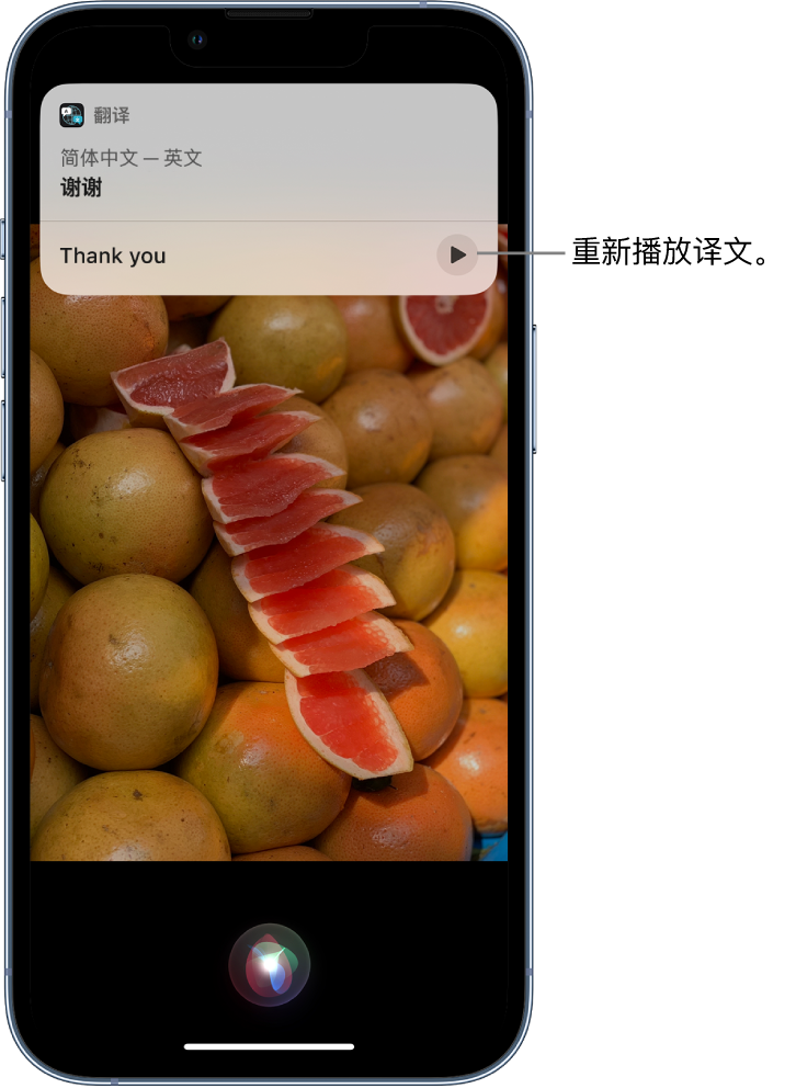 漳浦苹果14维修分享 iPhone 14 机型中使用 Siri：了解 Siri 能帮你做什么 