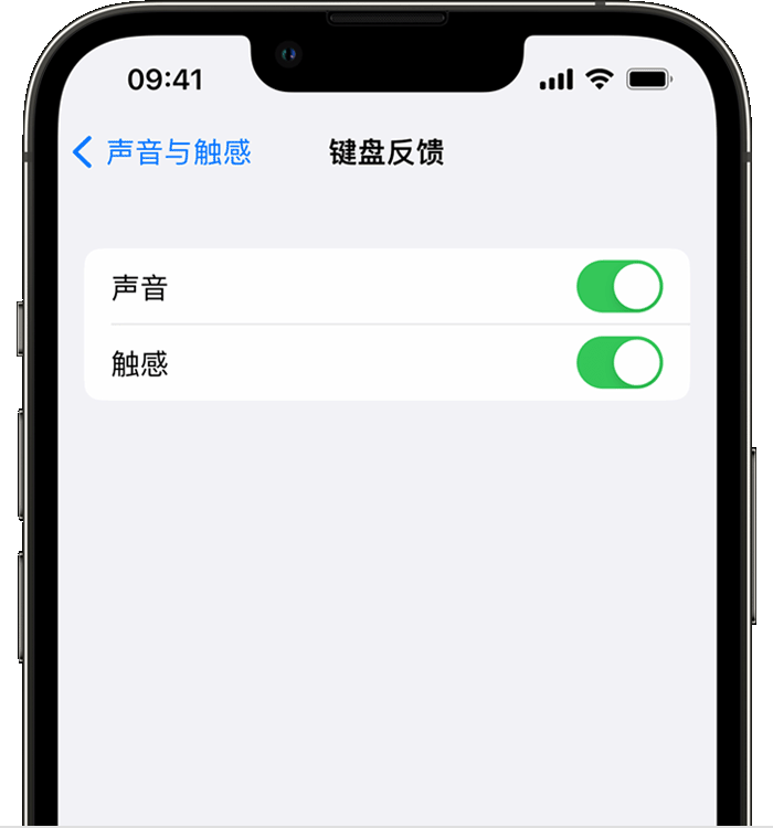 漳浦苹果14维修分享iPhone 14 系列机型如何开启键盘声音或触感反馈 