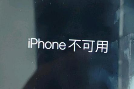 漳浦苹果服务网点分享锁屏界面显示“iPhone 不可用”如何解决 