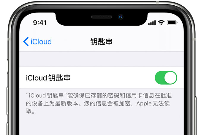 漳浦苹果手机维修分享在 iPhone 上开启 iCloud 钥匙串之后会储存哪些信息 