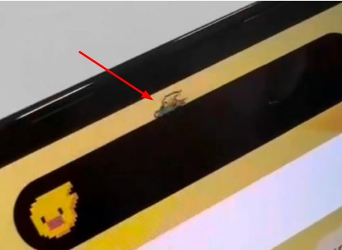 漳浦苹果14维修分享iPhone 14 Pro Max灵动岛怎么养宠物 