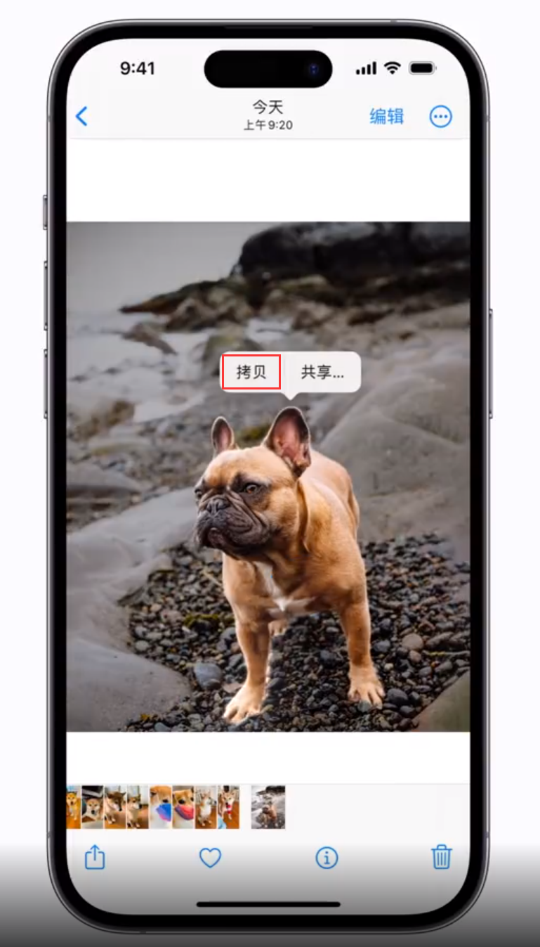 漳浦苹果手机维修分享 iOS 16 自带一键抠图功能 