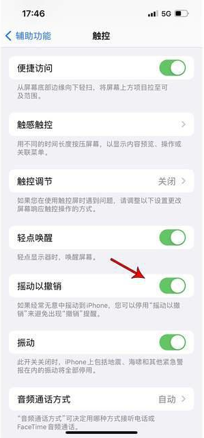 漳浦苹果手机维修分享iPhone手机如何设置摇一摇删除文字 