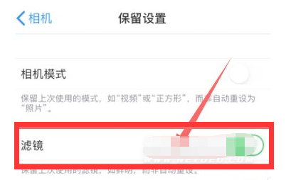 漳浦苹果13维修分享iPhone13拍照有绿点是怎么回事 