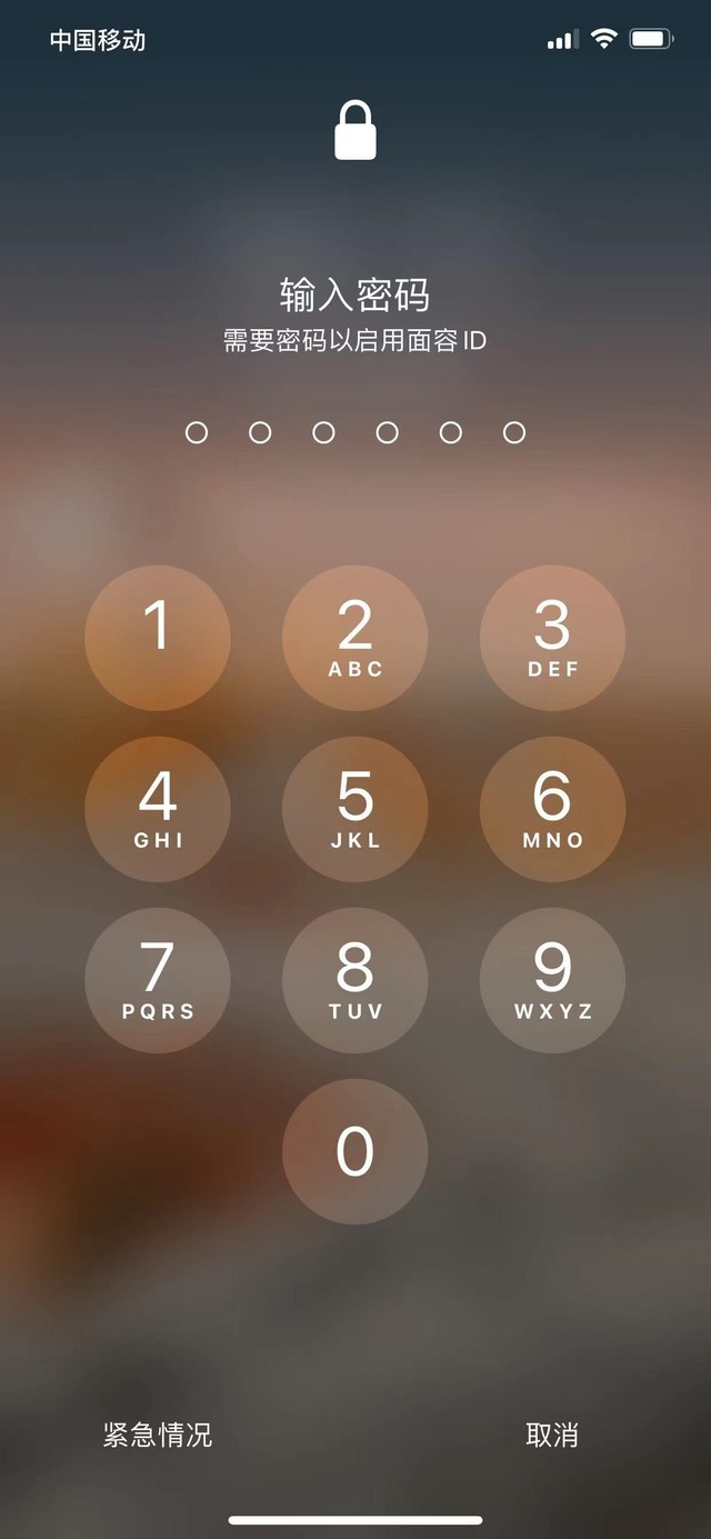 漳浦苹果13维修分享iPhone 13加强锁屏功能有什么用 
