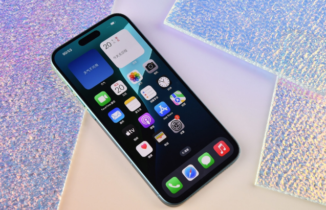 漳浦苹果手机维修分享为什么大家不喜欢苹果iPhone 16 Plus 