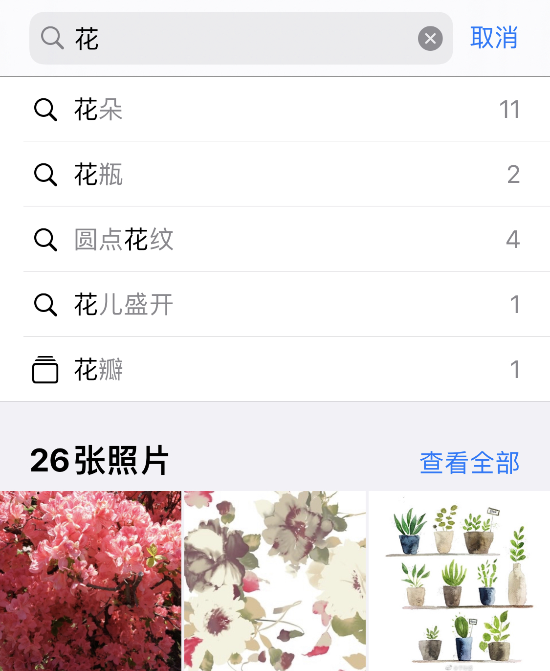 漳浦苹果手机维修分享iPhone 小技巧 