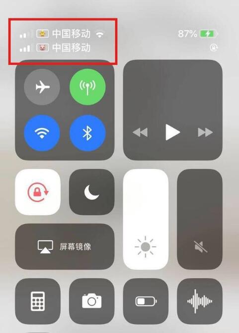 漳浦苹果手机维修分享为 iPhone 12 双卡设置标签 