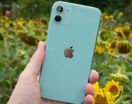 漳浦苹果维修点分享iPhone 11锁屏密码认知与使用科普 