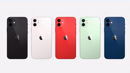 漳浦苹果维修点分享iPhone 12锁屏密码系统机制科普 