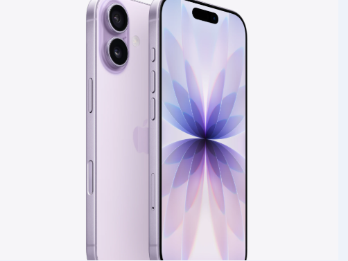 漳浦苹果维修点分享iPhone 17锁屏密码使用参考 