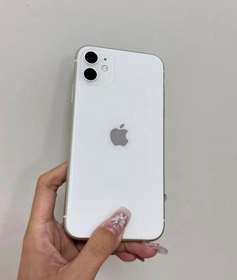 漳浦苹果维修点分享iPhone 11黑屏特殊场景解析 
